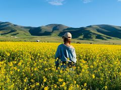 -青海湖国家重点风景名胜区