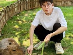 -灵玲国际马戏城