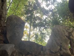 -秋霞圃