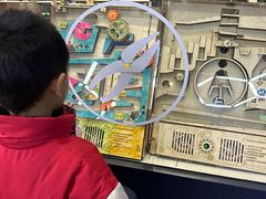 -中国宋庆龄青少年科技文化交流中心