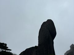 -海底捞火锅(杭州庆春路夜宵主题店)