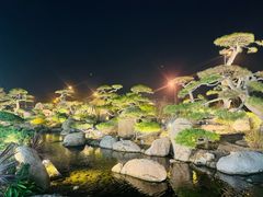 -罗红摄影艺术馆