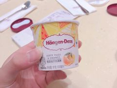 -哈根达斯(陆家浜路店)