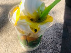 -Salud撒露欧洲冻酸奶(蓝色港湾店)