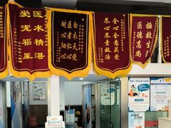 -顺强宠物诊所·狂犬免疫·夜诊·骨科(嘉定店)