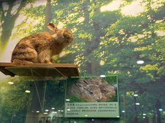 -下渚湖国家湿地公园科普馆