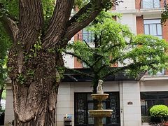 -上海瑞金洲际酒店
