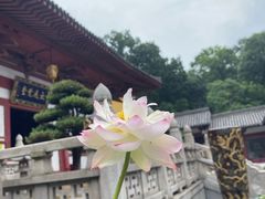 -灵谷景区