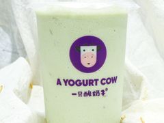 -一只酸奶牛(海南友谊阳光城店)