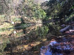 -广州市石门国家森林公园