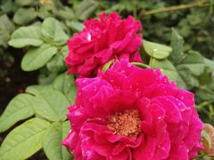 -人民公园(罗湖区)