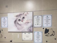 -谐和益家动物医院·免疫绝育·血液透析·宠保定点医院(高新伊藤分院)