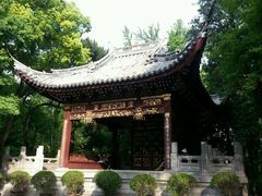 -汇龙潭