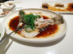 -至潮餐厅精致粤菜·活鲈鱼·走地鸡(珠江新城店)