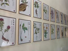 -医济堂·中医养生·经络理疗(凤凰西街店)