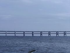 -星海湾跨海大桥