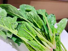 矮脚菠菜-海底捞火锅(丰尚国际广场店)