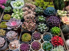 -三旗百汇商品城