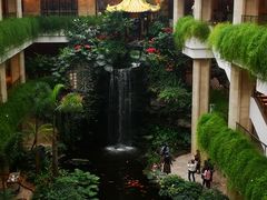 -白天鹅宾馆·月兔吧