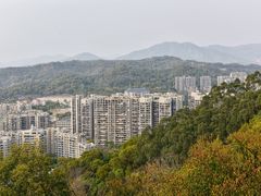 -福道