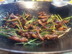 -一煲鸽