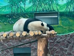 -黔灵山公园
