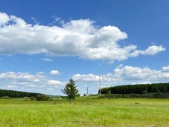 -塞罕坝国家级自然保护区