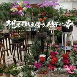 路过一家花店