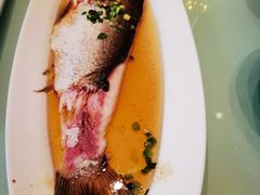 清蒸太湖野生大白鱼-梅飞酒家(名辉豪庭店)
