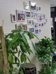 -痘博士北京·全国连锁祛痘机构