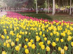 -长春公园(普阳街道)