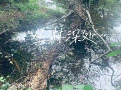 -西溪南古村落景区
