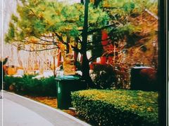 -迎泽公园