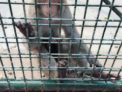 -南京金牛湖风景区