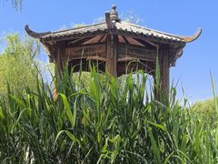 -太阳宫公园