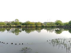 -八卦田遗址公园