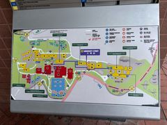 -香港大学