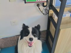 -美联众合24小时·皮肤科·外科·全科诊疗中心(华苑分院)