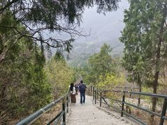 -香山公园