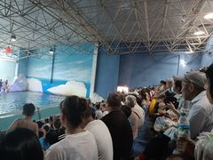 -秦皇岛乐岛海洋王国