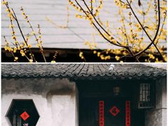 -乌村