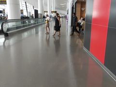 -麦当劳(郑州新郑机场)