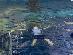 -蓝旗游泳·青训·亲子水域中心(方庄中心)