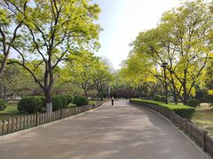 -莲花池公园