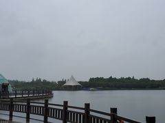 -上海都市菜园