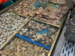 -半岛听涛蒸汽海鲜自助(K11店)