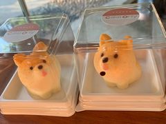 -柴犬高等学院·狗咖·柴犬售卖·宠物训练