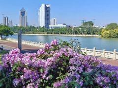 -南宁南湖公园