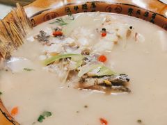 鱼头汤-煲来饱去冷水鱼