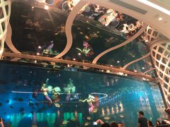 -瑞德姆美人鱼海底演艺主题餐厅(亚龙湾店)